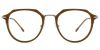 Cheap Prescription Glasses 35023 Brown Silver from EyewearCanada.com