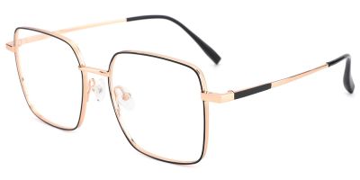 Titanium Prescription Glasses 26013 Black Gold