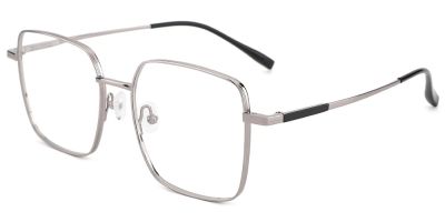 Titanium Prescription Glasses 26013 Silver