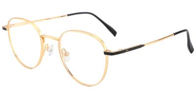 Titanium Prescription Glasses 26020 Gold